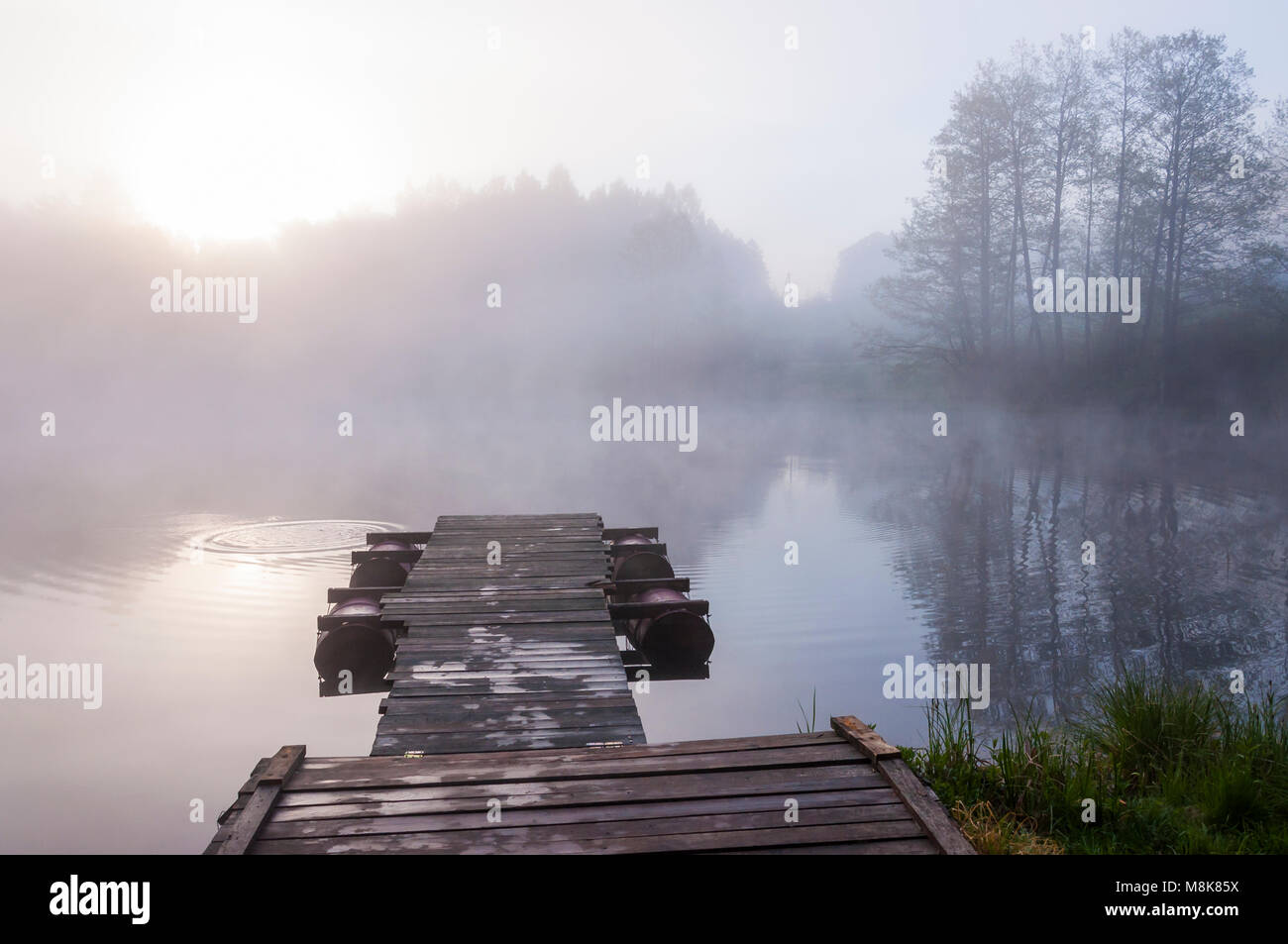 Morning sunrise fog above forest lake and pier Stock Photo - Alamy
