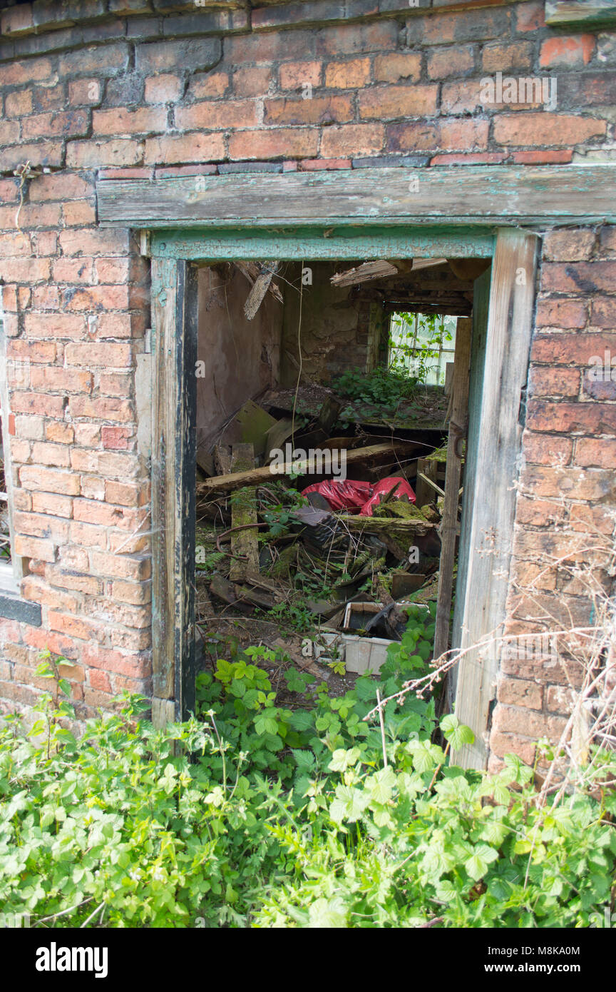 An old derelict, rotted green door frame against a red brick wall, with overgrown plants and brambles. Stock Photo