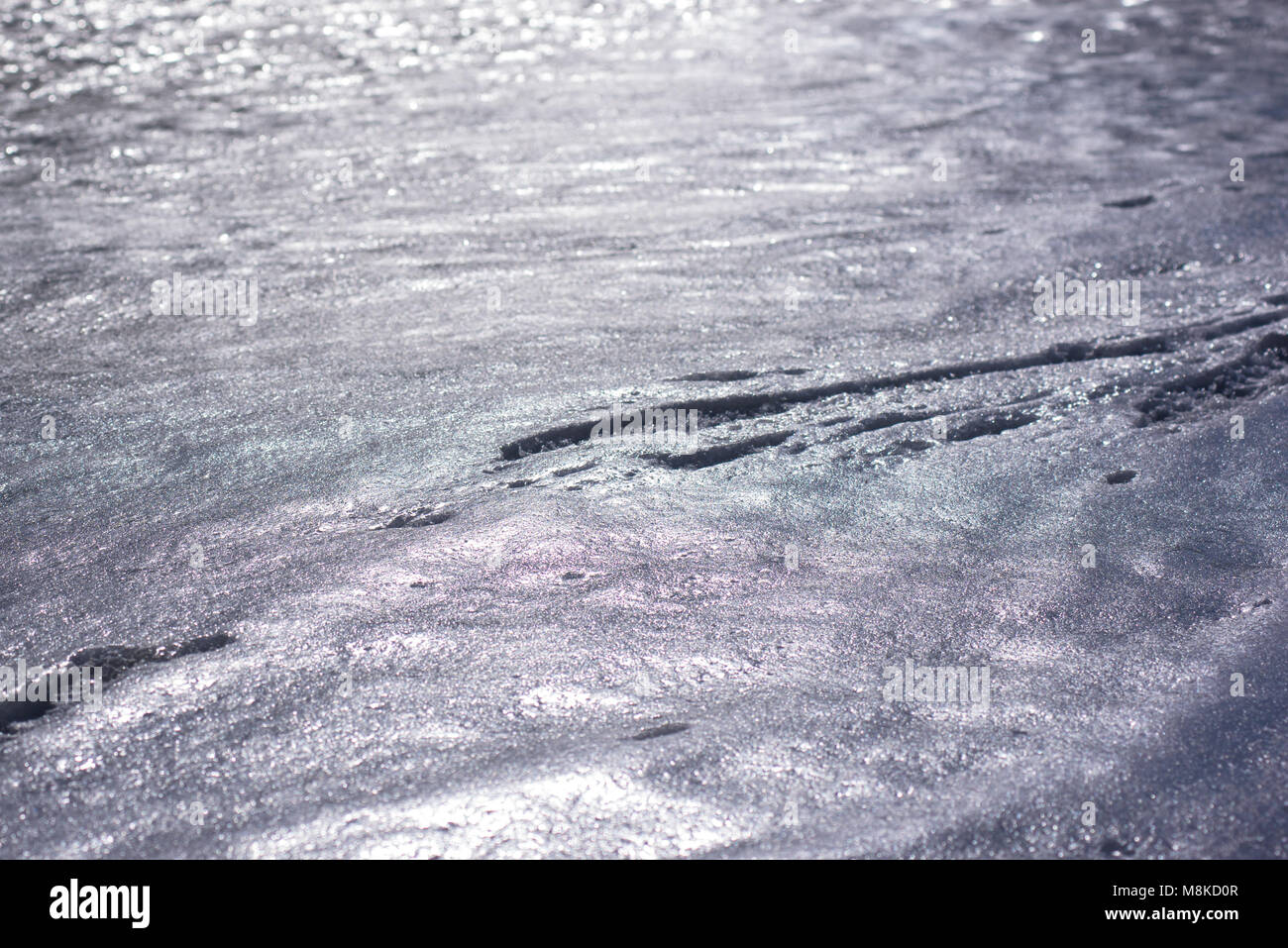 Reflections on ice at beach. Stock Photo
