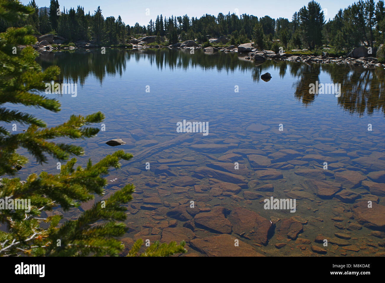 beautiful lake with clear water you can see to the bottom in Montana ...
