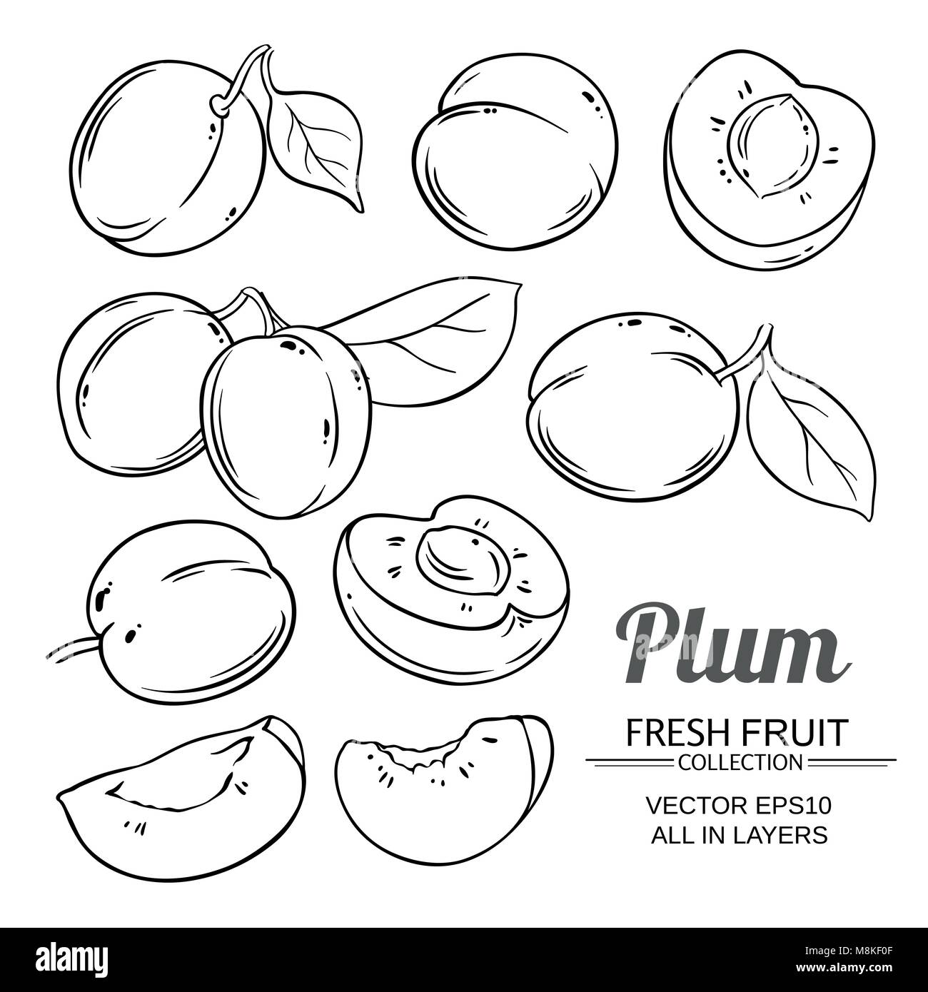 plum fruits vector set on white background Stock Vector Image & Art Alamy
