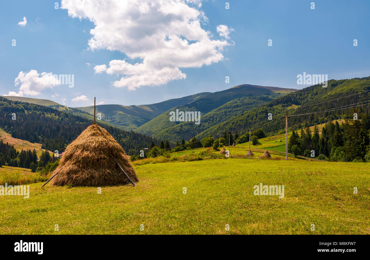 beautiful rural scenery in mountains. haystacks on a grassy hillside near the forest on a rolling hills. fine weather with some fluffy clouds on blue  Stock Photo