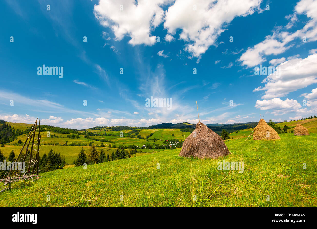 beautiful rural scenery in mountains. haystacks on a grassy hillside near the forest on a rolling hills. fine weather with some fluffy clouds on blue  Stock Photo