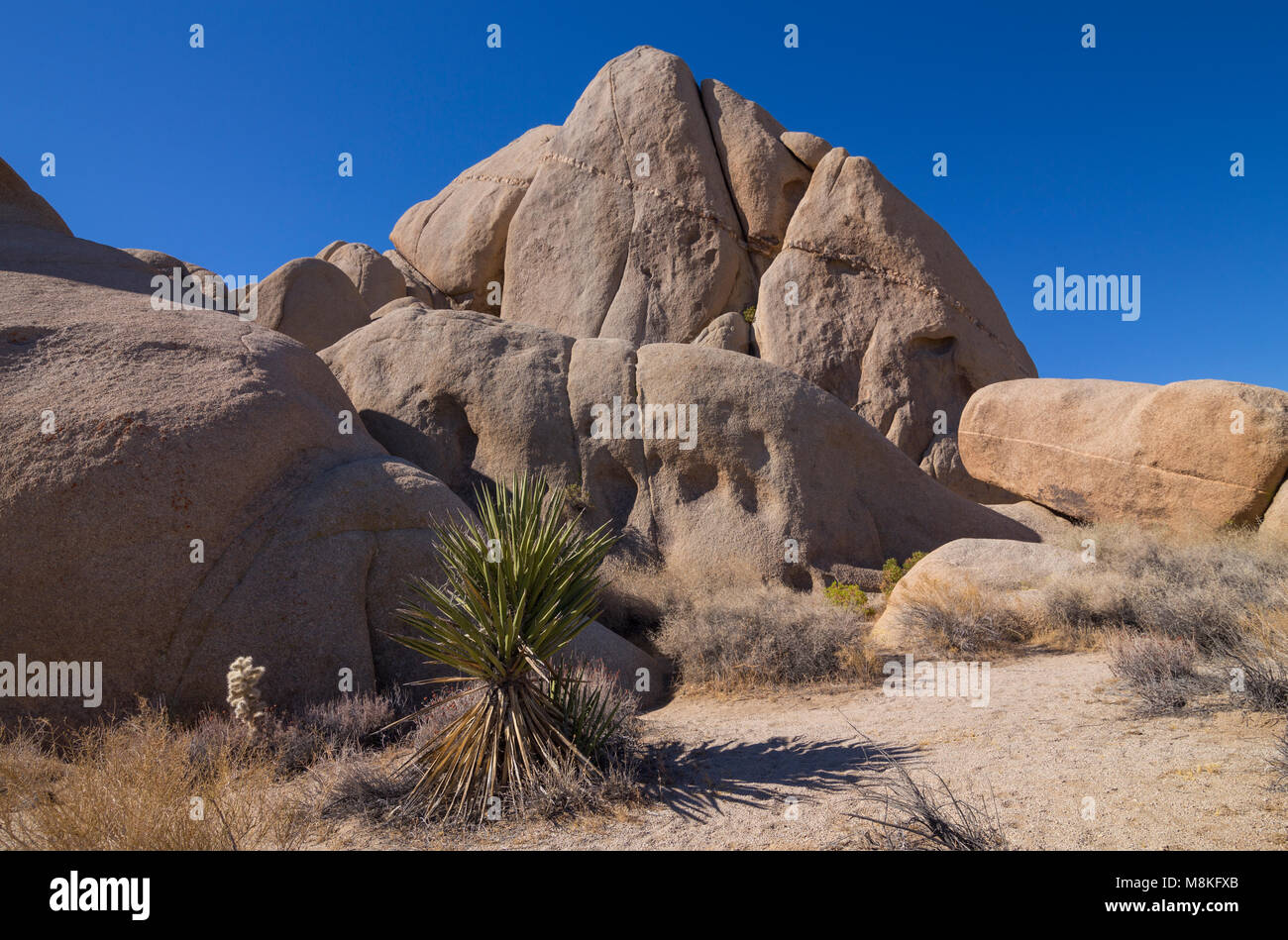 Rock formations at Live Oak picnic area, Joshua Tree National Park, California, USA Stock Photo