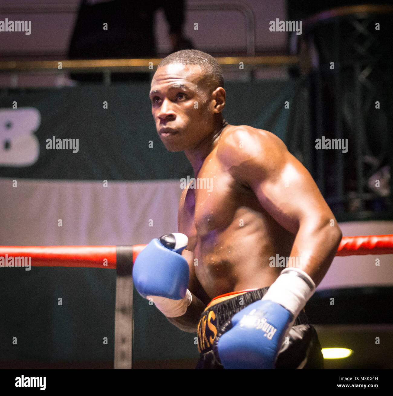 Chris Eubanks estranged son Nathahael Wilson boxing at York Hall, Bethnal Green Stock Photo