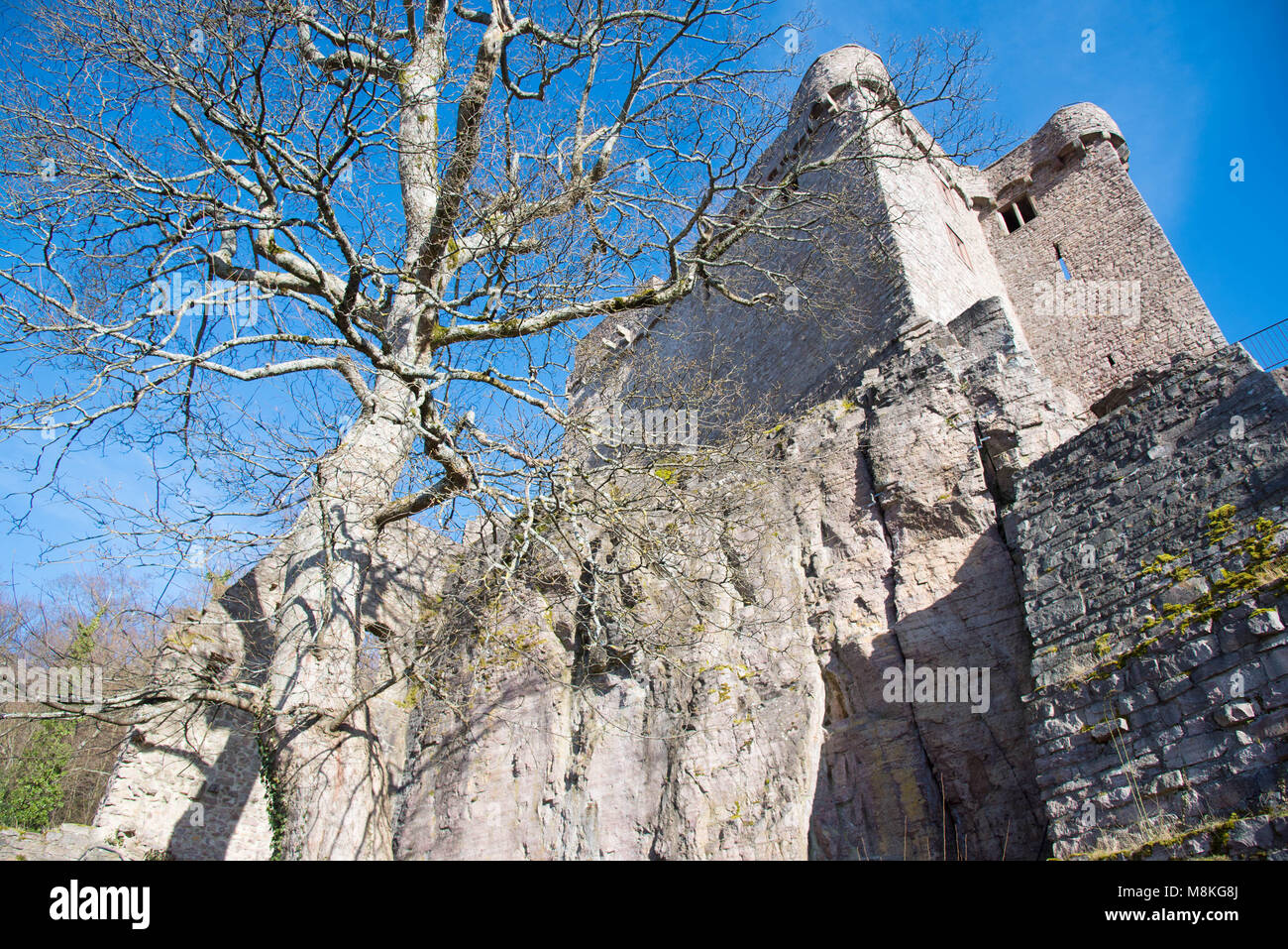 castle ruin in the heights of Baden-Baden Stock Photo