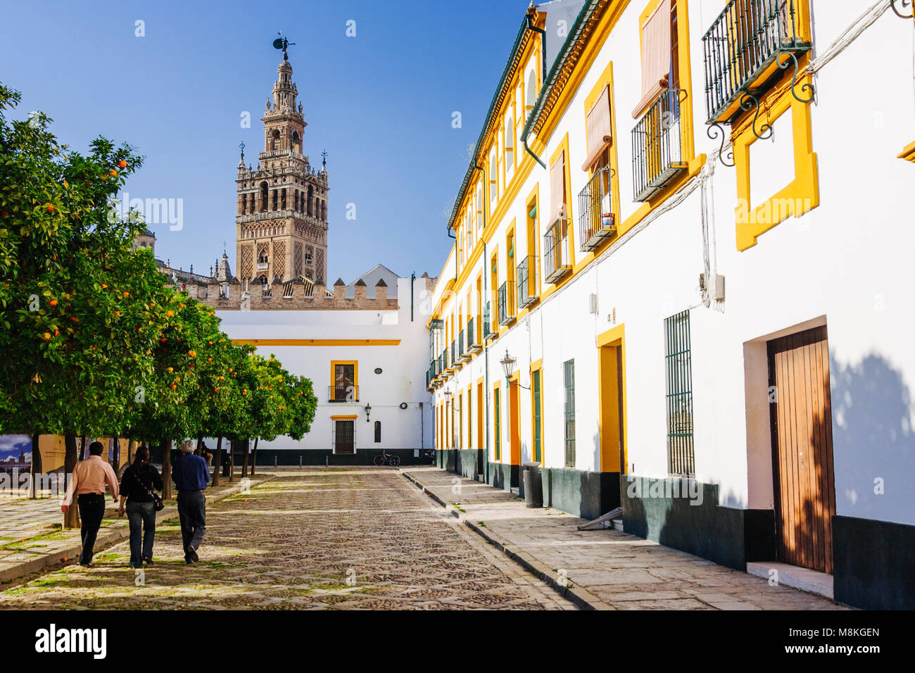 Seville, Andalusia, Spain : People walk at the Patio de Banderas square in Santa Cruz district with Giralda bell tower in background. Stock Photo
