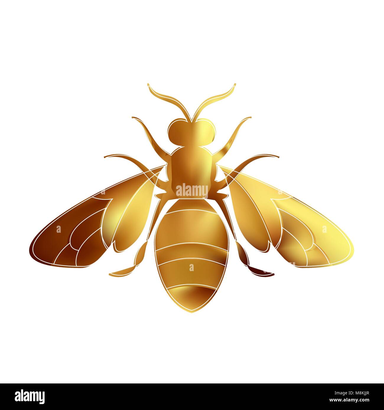 Золотая пчела 2024. Золотая пчела на белом фоне. Пчелиная матка на белом фоне. Пчела золото. Матка пчелы на белом фоне.