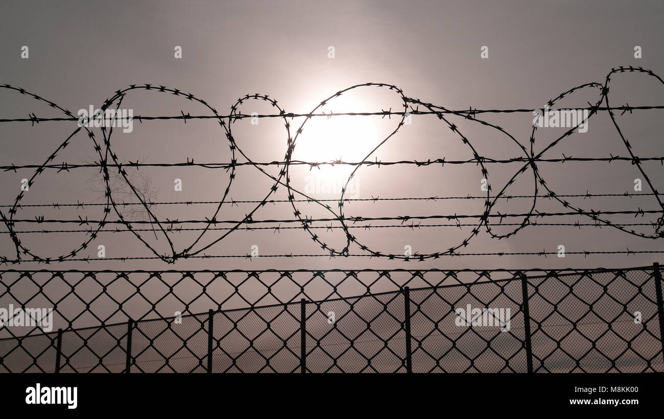 Barbed wire fence against the sun Stock Photo