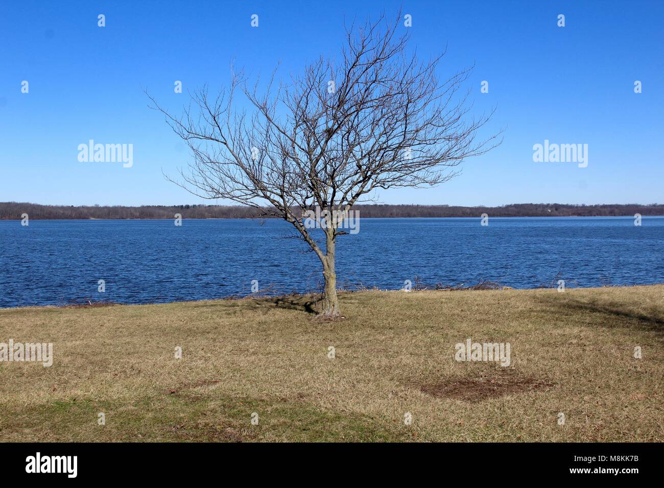 A day at Buck Creek State Park on the lake and the dam on a sunny