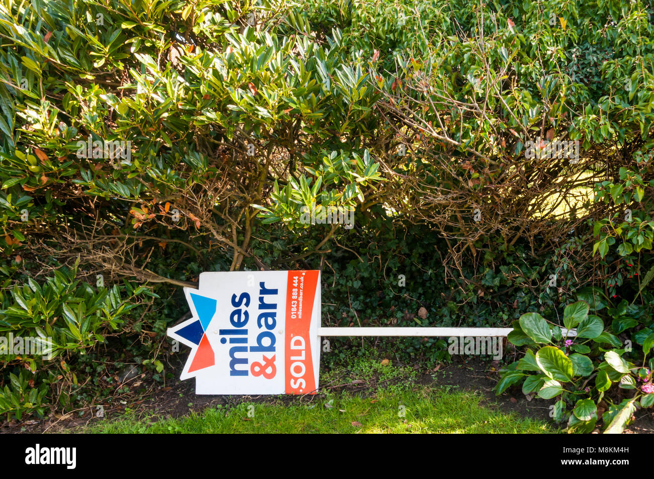 Estate Agents sold sign laying down in garden. Stock Photo