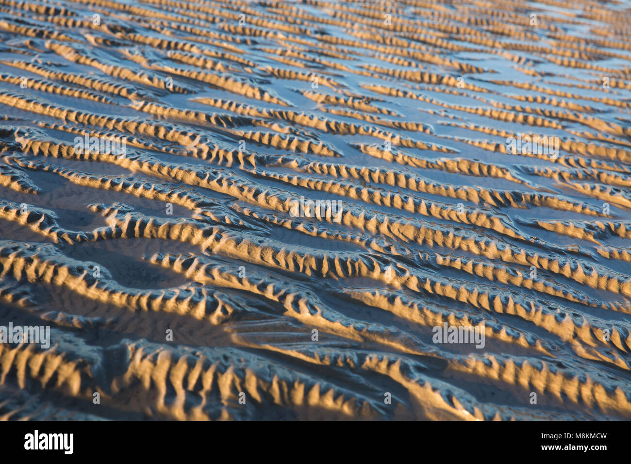 Patterns left by the ebbing tide, near Jenny Brown’s Point, Morecambe Bay, northwest england UK Stock Photo