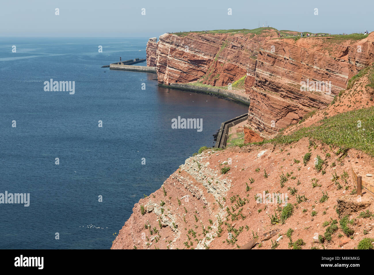 Red Cliffs of German island Helgoland with nesting seabirds Stock Photo