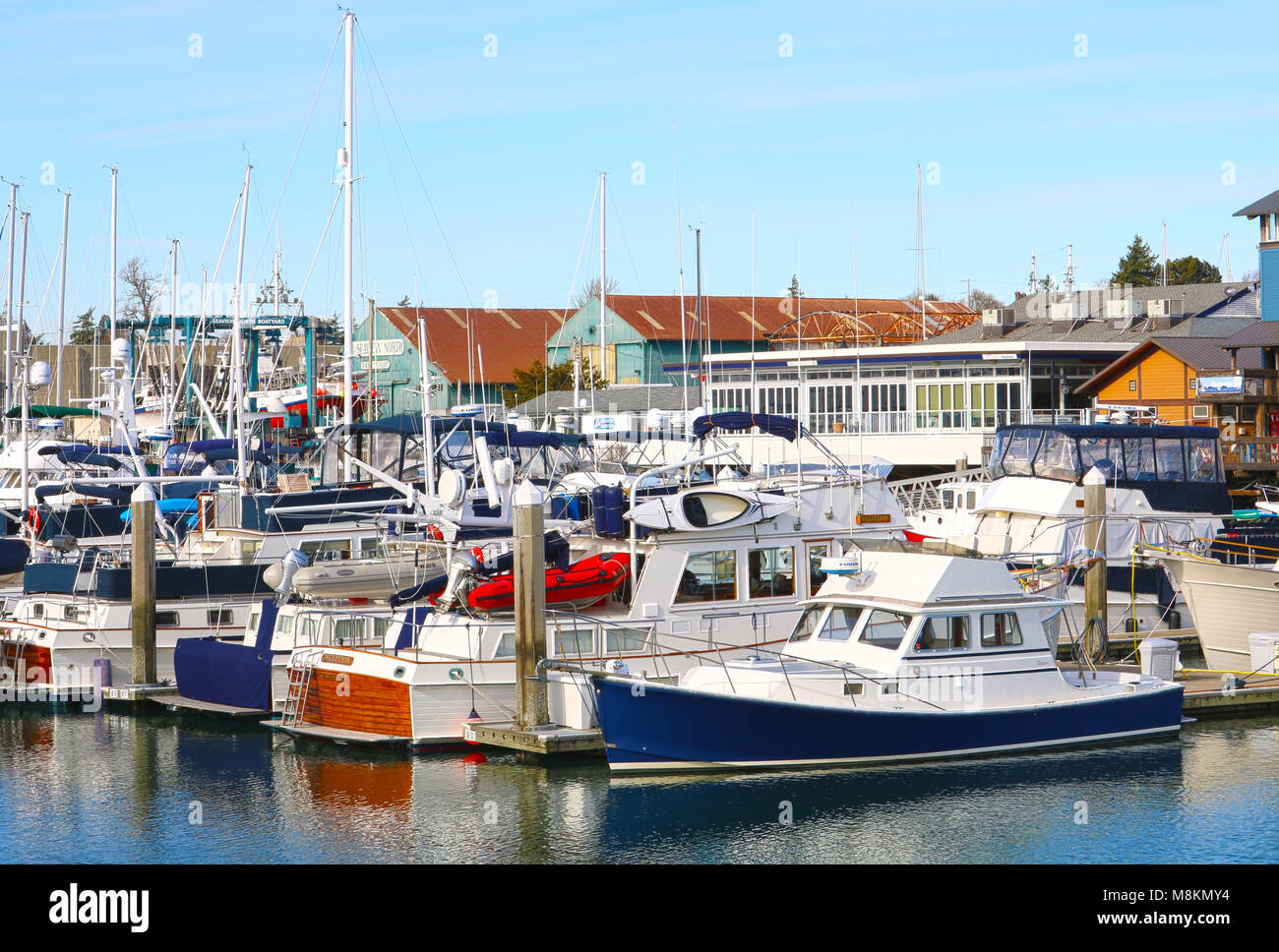 Sailboats at the marina in Bellingham Bay. Bellingham Bay is in the