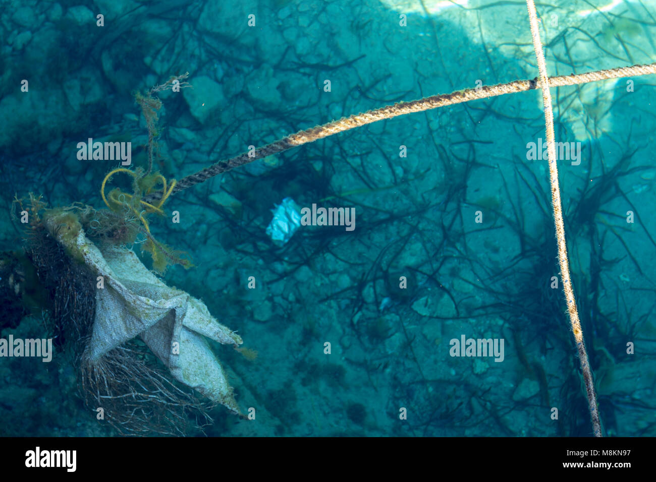 Abstract of harbour bed showing ropes and sand on the Mediterranean
