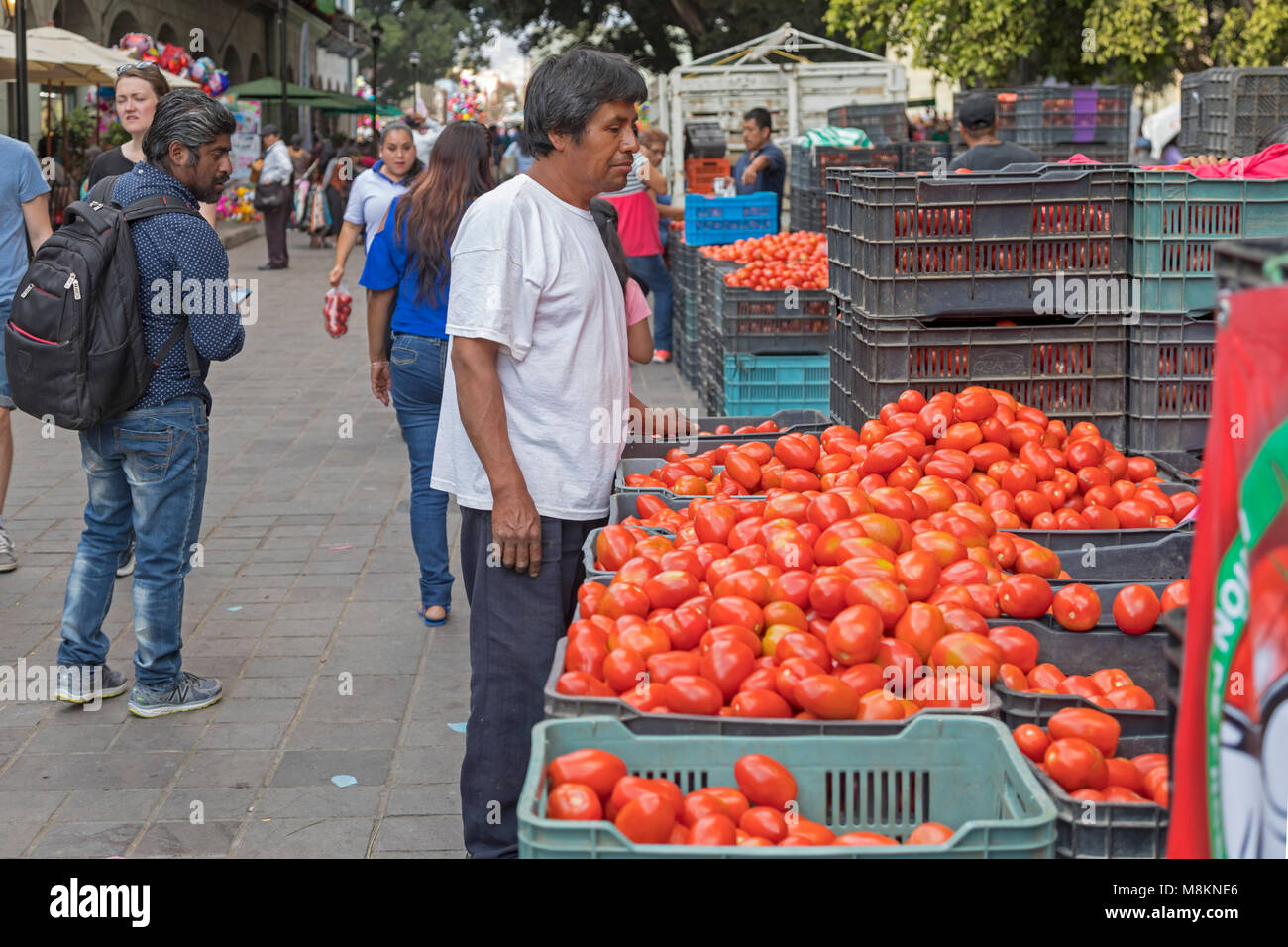 Oaxaca, Oax., Mexico - Independent tomato farmers sell tomatoes in the zocalo (central square). Stock Photo