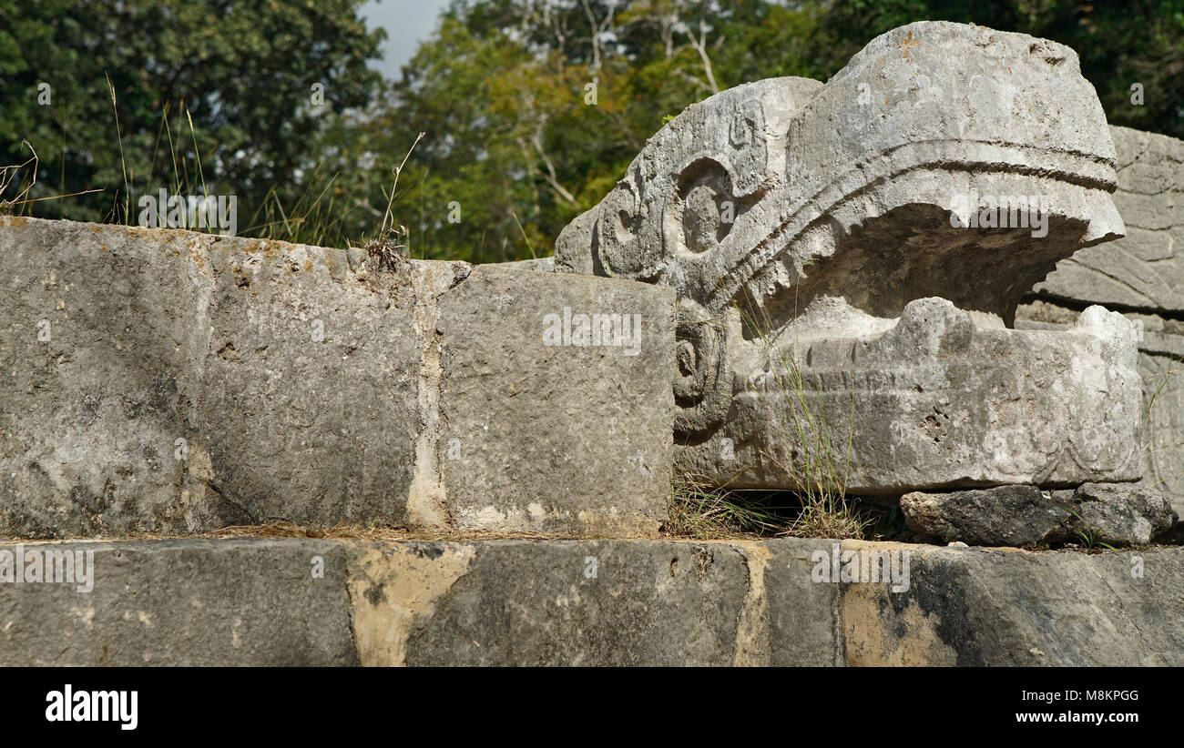Stone snake head at the mayan pyramid in Yucatan Stock Photo Alamy