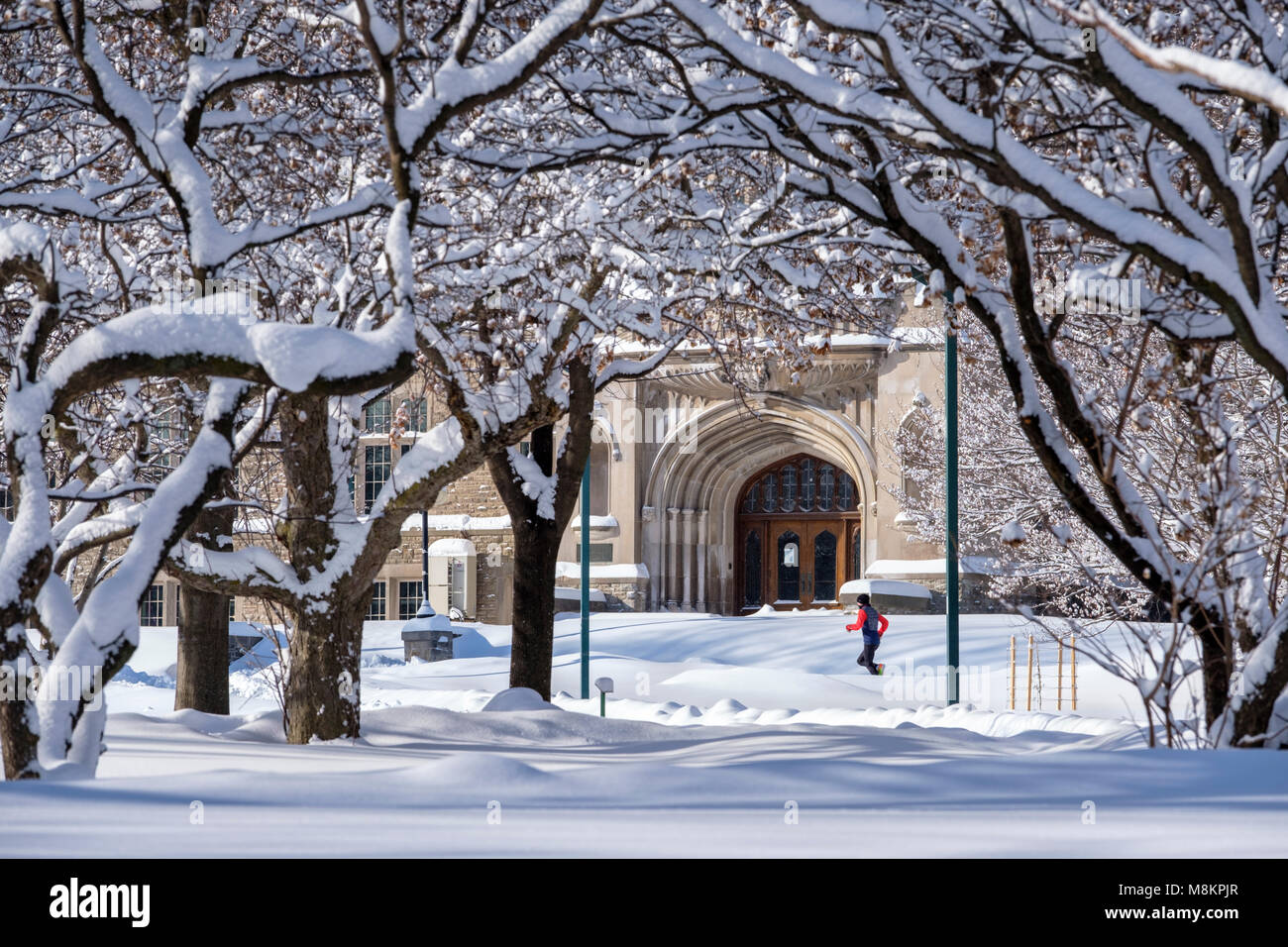 Male jogger running past the front door of University College Building at University of Western Ontario after a heavy winter snowfall, London, Ontario Stock Photo