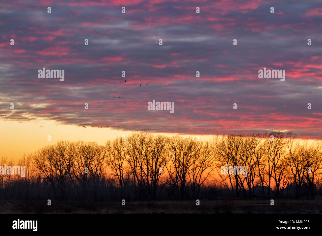 Ada hayden park hi-res stock photography and images - Alamy