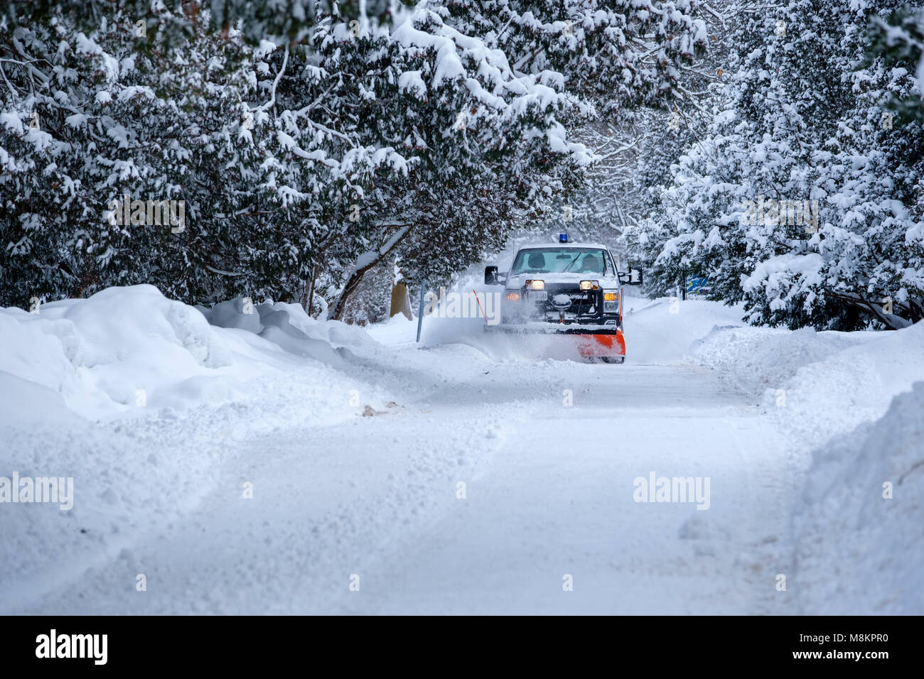 Snow plow pick-up truck in motion clearing a municipal road, street, after heavy snowfall at Springbank Park, London, Ontario, Canada. Stock Photo