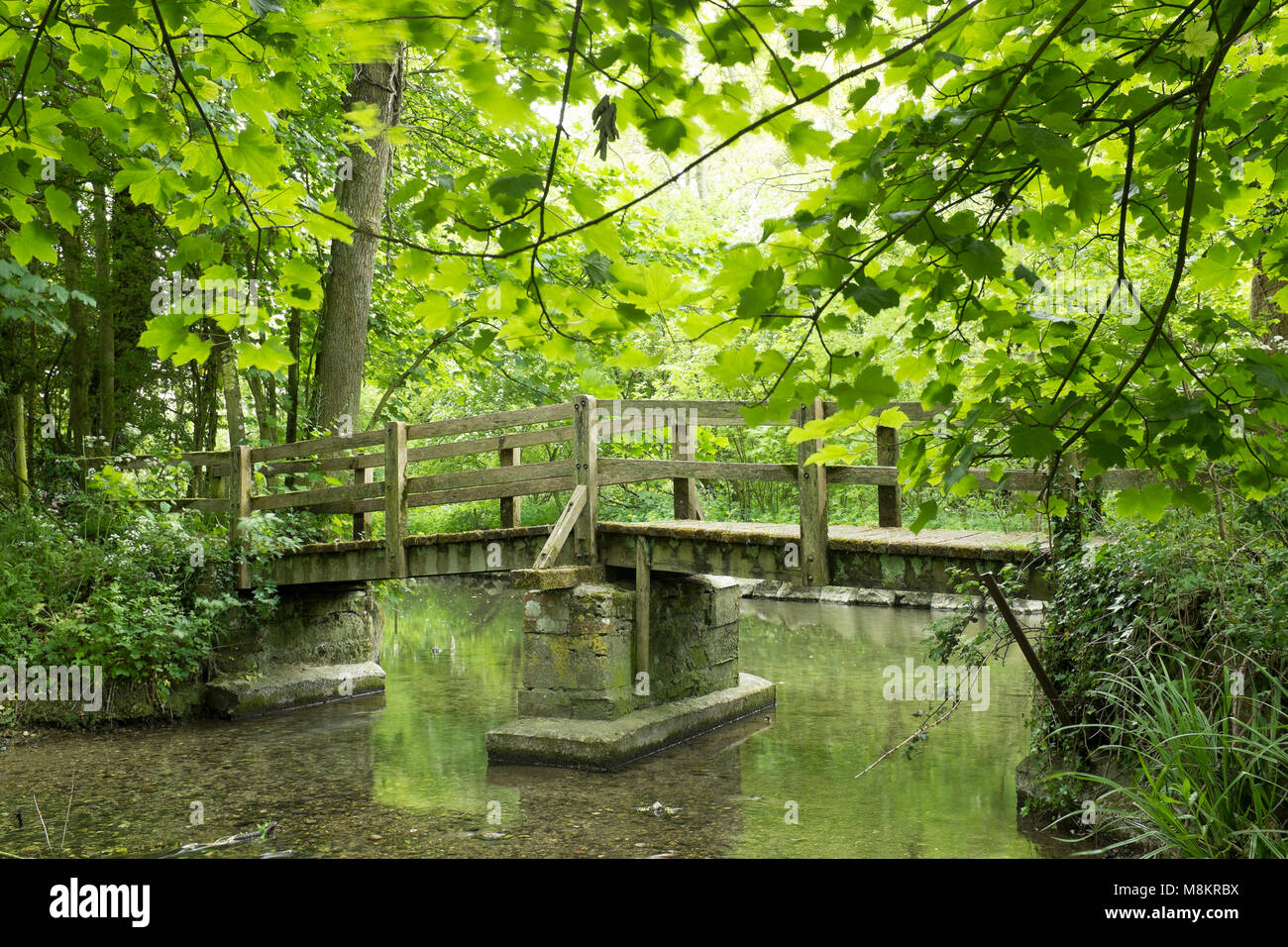 Wooden footbridge over stream in woodland, Lathkill Dale, Peak District, Derbyshire Stock Photo
