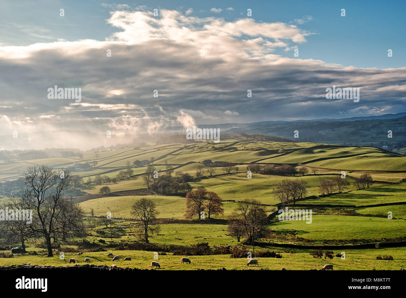 Rolling English Countryside near Staveley Stock Photo