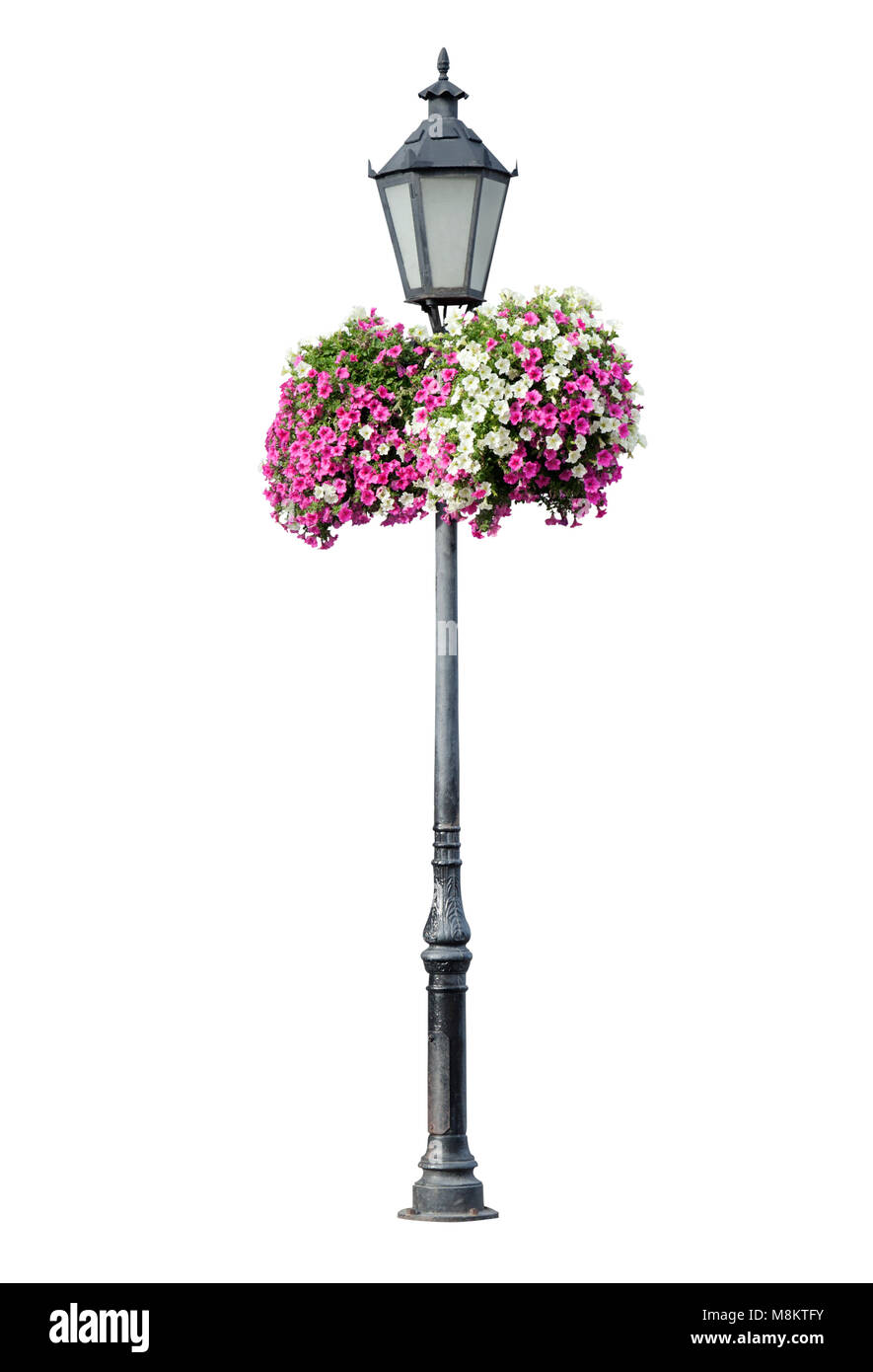 Lamppost with hanging flowers, isolated Stock Photo Alamy