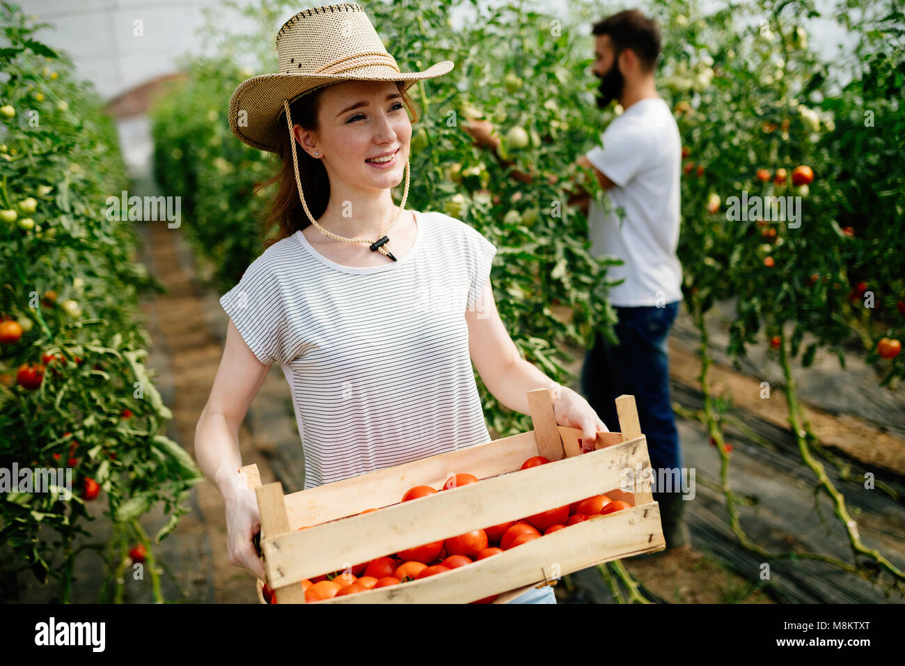 Attractive happy female farmer working in greenhouse Stock Photo - Alamy
