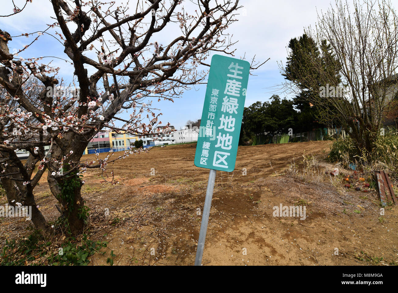Tokyo, Japan. 18th Mar, 2018. A patch of so-called Productive Green Area lies in the residential area of Tokyo's Nerima Ward on Sunday, March 18, 2019. The Productive Green Area Law gives urban landowners a substantial property tax break in exchange for not developing their land or using their land commercially. However, the legal designation of most Productive Green Areas is set to expire in 2022, and now the government is looking at ways to prevent these swaths from flooding the commercial real estate market and dragging down land prices. Credit: Natsuki Sakai/AFLO/Alamy Live News Stock Photo