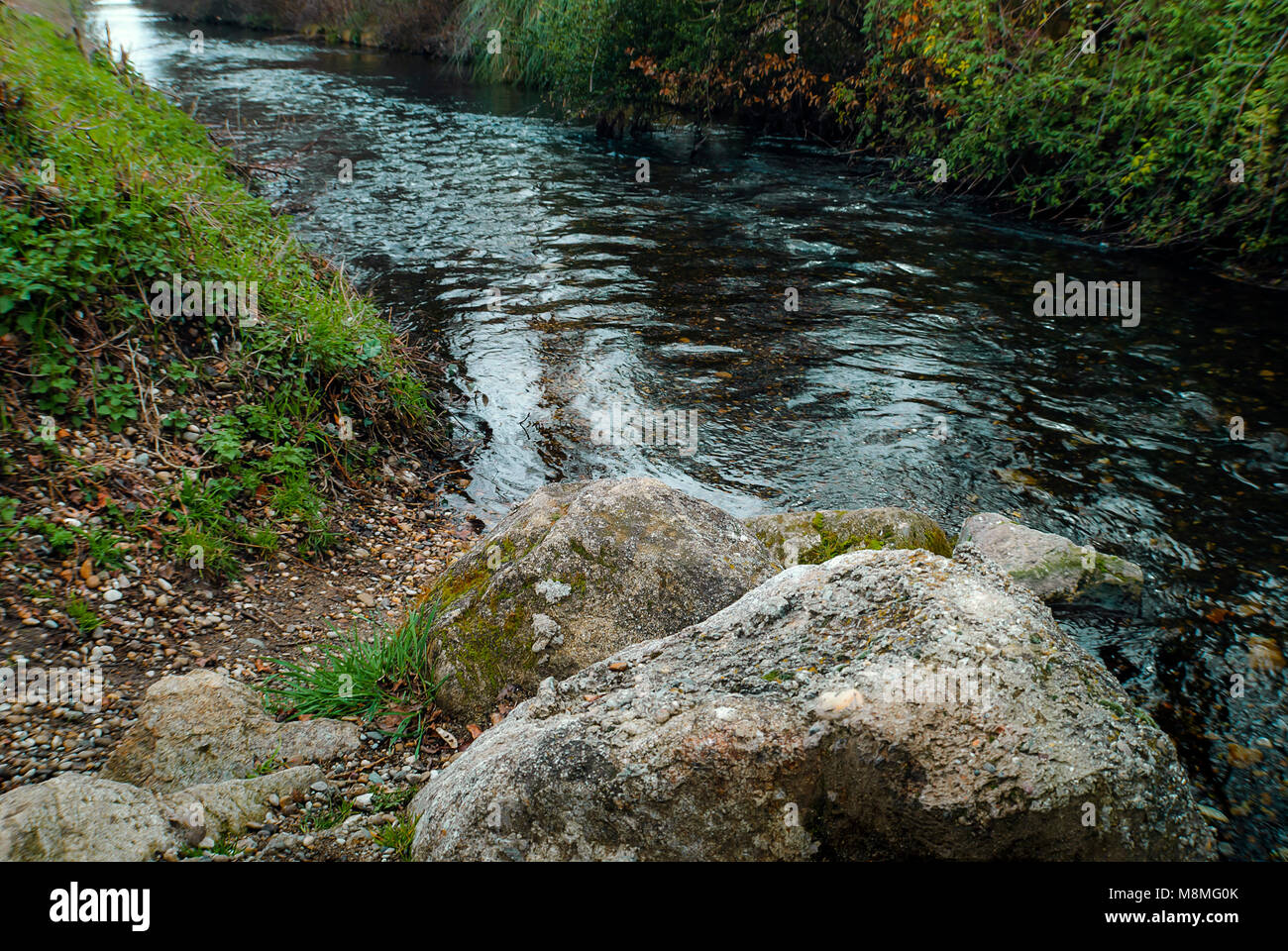 A Litlle water-stream with rocks in the foreground, and vegetation. Stock Photo
