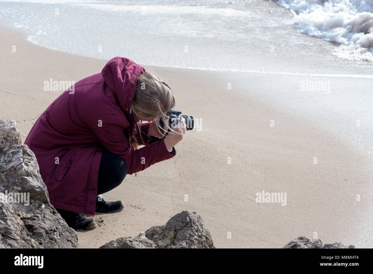 Photographing the Waves Stock Photo