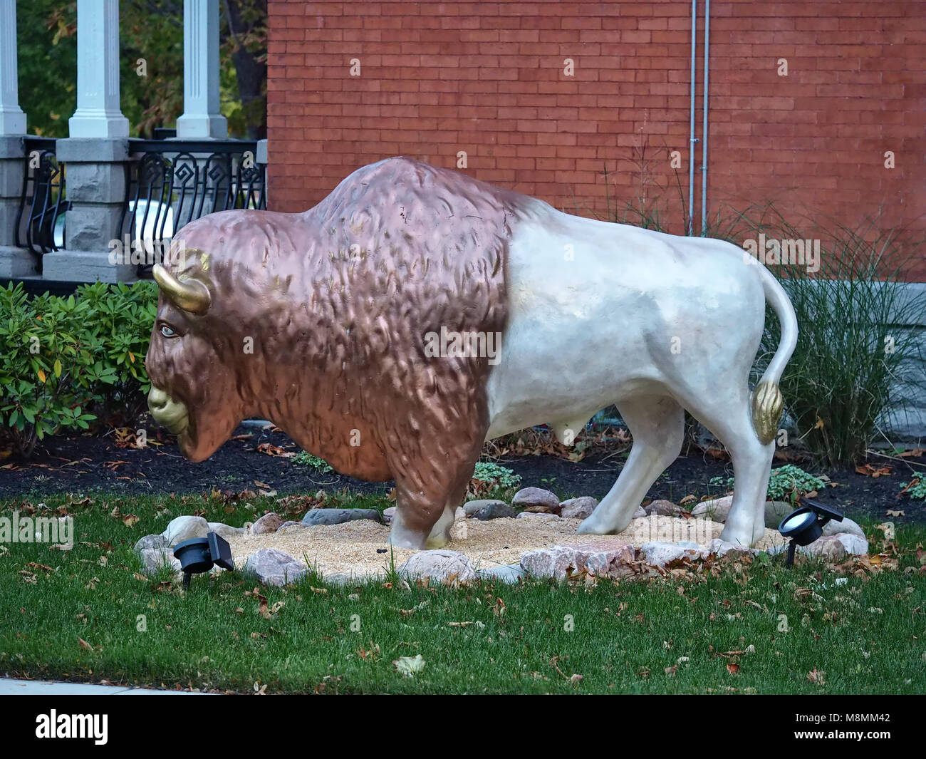 Buffalo statue in Buffalo, New York Stock Photo