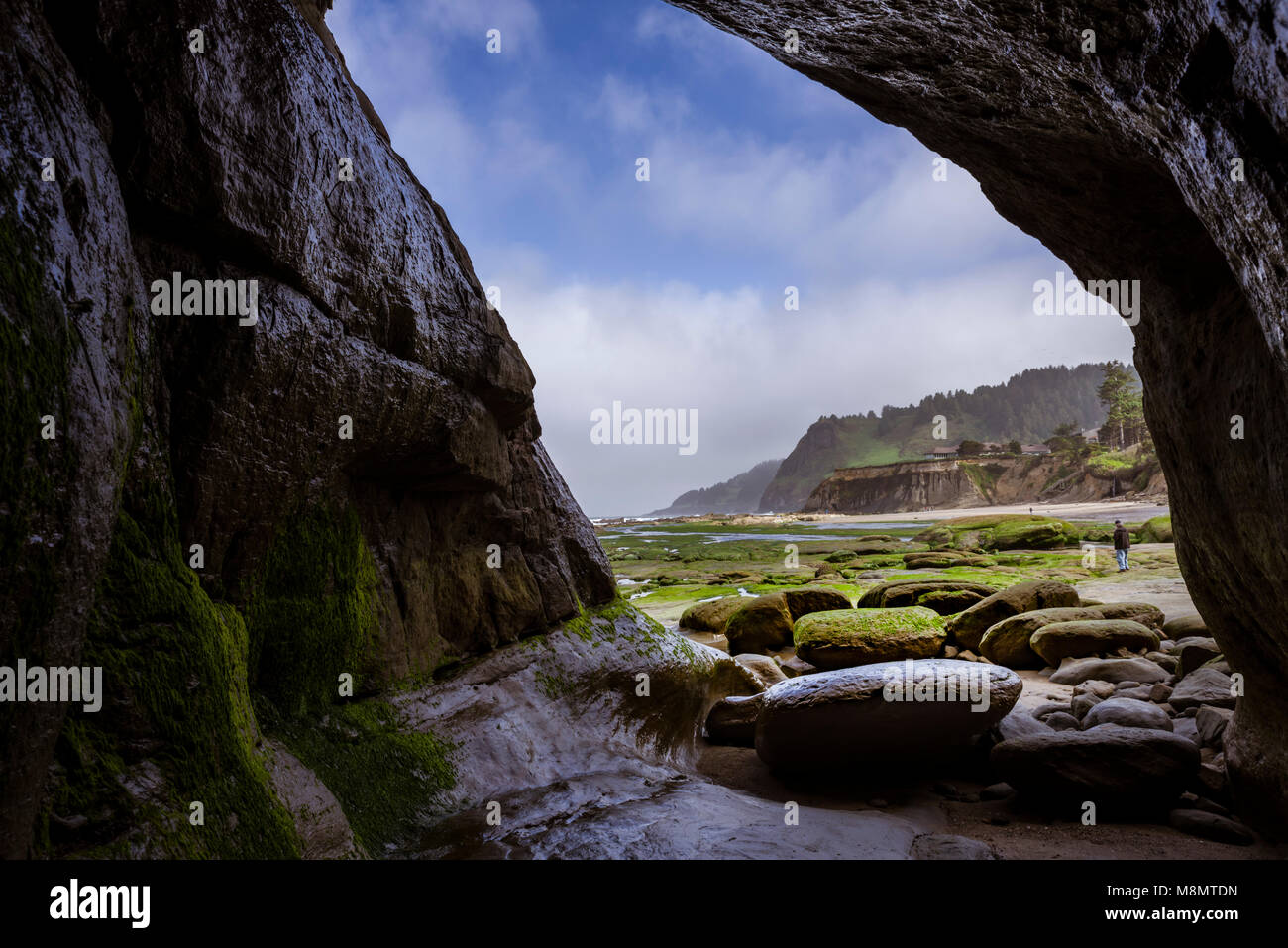 Small cave on the Oregon coast showing stretches of seaweed and tide pools.  Otter Rock, Oregon Stock Photo