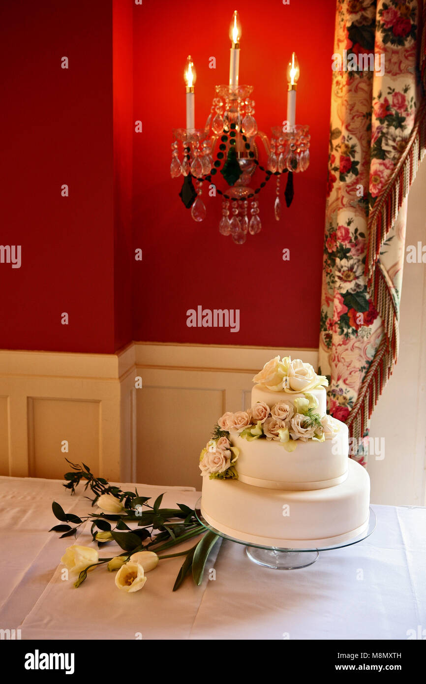 beautiful wedding cake covered with roses, bright red wall in the background Stock Photo