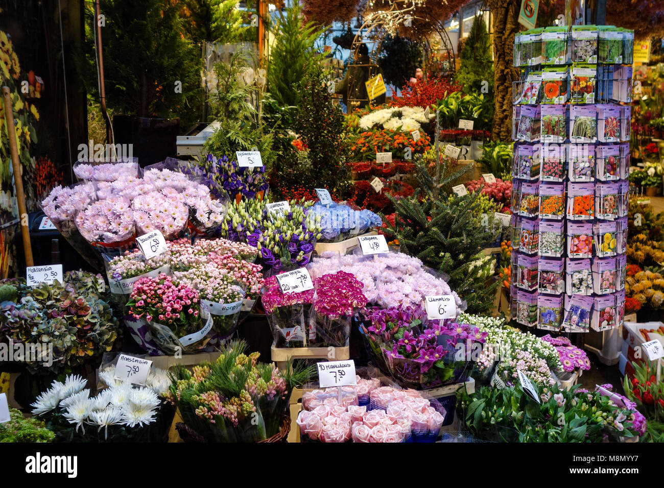 Dec 20, 2017 - Flowers and seeds on sale at the Bloemenmarkt, Flower Market, Amsterdam, Holland Stock Photo