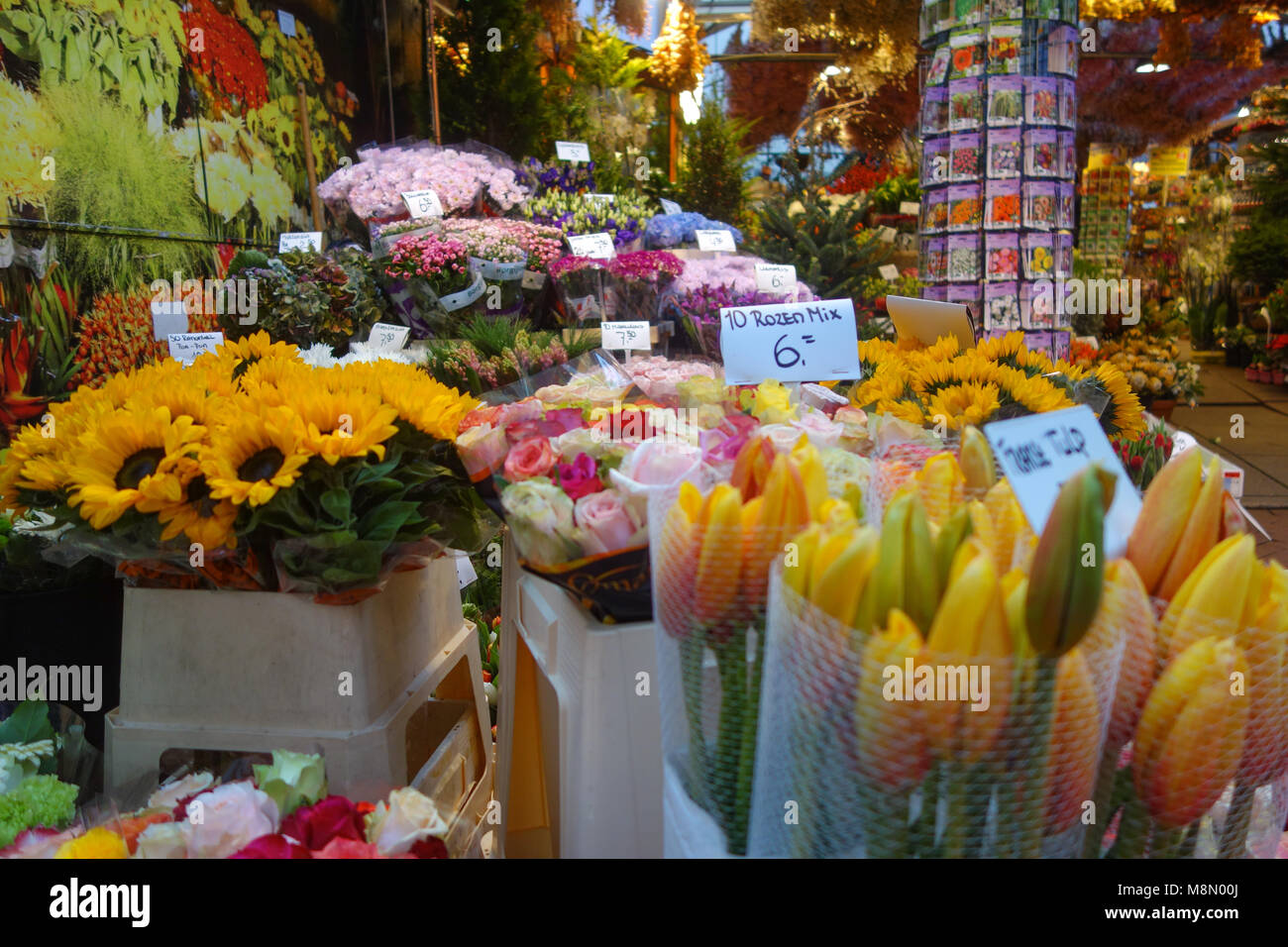 Dec 20, 2017 - Flowers and seeds on sale at the Bloemenmarkt, Flower Market, Amsterdam, Holland Stock Photo