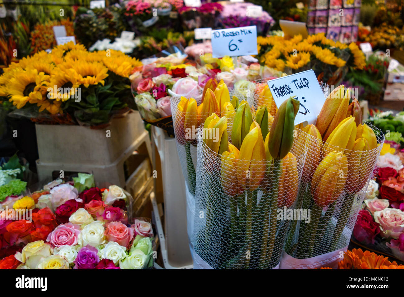 Dec 20, 2017 - Flowers and seeds on sale at the Bloemenmarkt, Flower Market, Amsterdam, Holland Stock Photo
