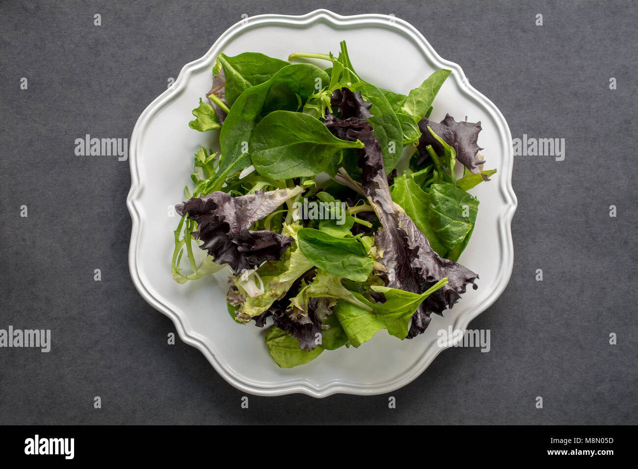 Unseasoned organic mixed greens salad in white plate bowl, on dark background, top view-diet food concept Stock Photo