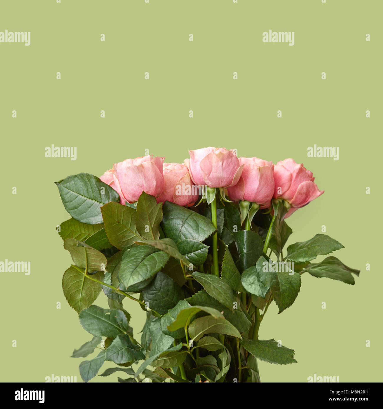 Fresh beautiful bouquet of pink roses on a green background Stock Photo ...