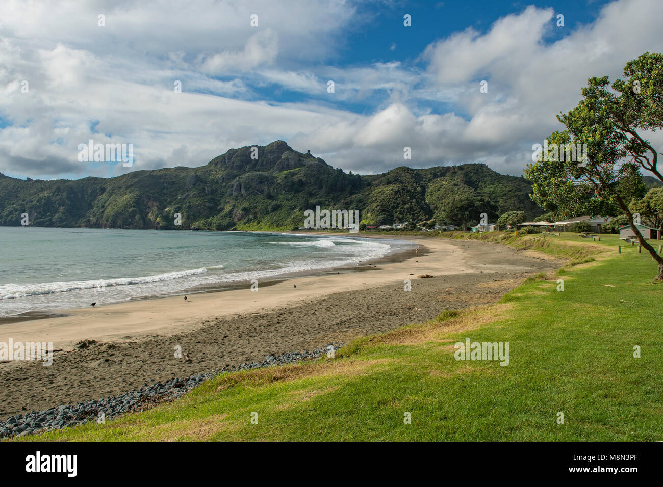 Beach at Taupo Bay, North Island, New Zealand Stock Photo