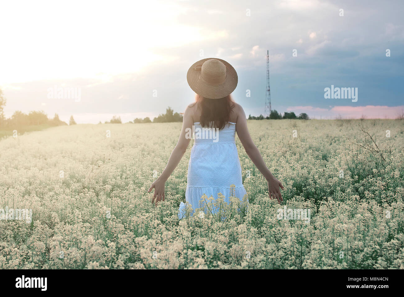 Girl in white dress in a field of yellow flowers blossoming Stock Photo ...