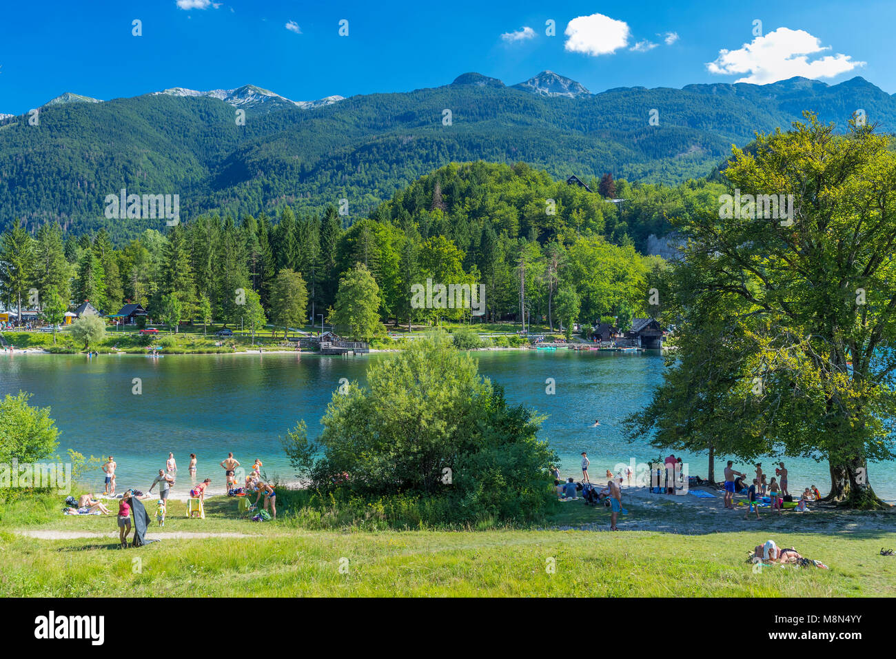 Lake Bohinj, Triglav National Park, Ribčev Laz, Upper Carniola, Slovenia, Europe Stock Photo