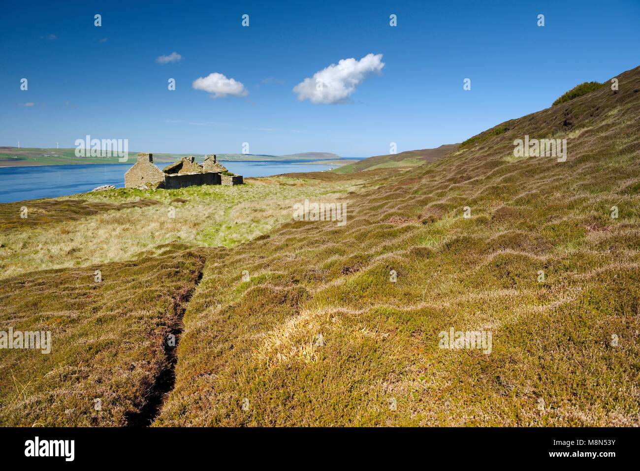 Island of Rousay, Orkney, Scotland. Derelict ruined croft house hill farm near Westness. West over Eynhallow Sound. Path through early summer heather Stock Photo