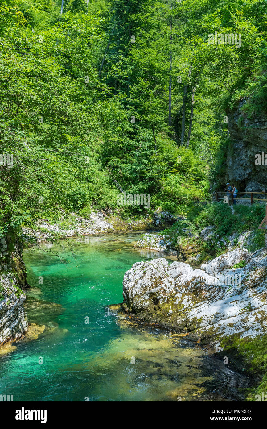 Tourists walking inside the Vintgar Gorge on a wooden path, Podhom, Upper Carniola, Slovenia, Europe Stock Photo