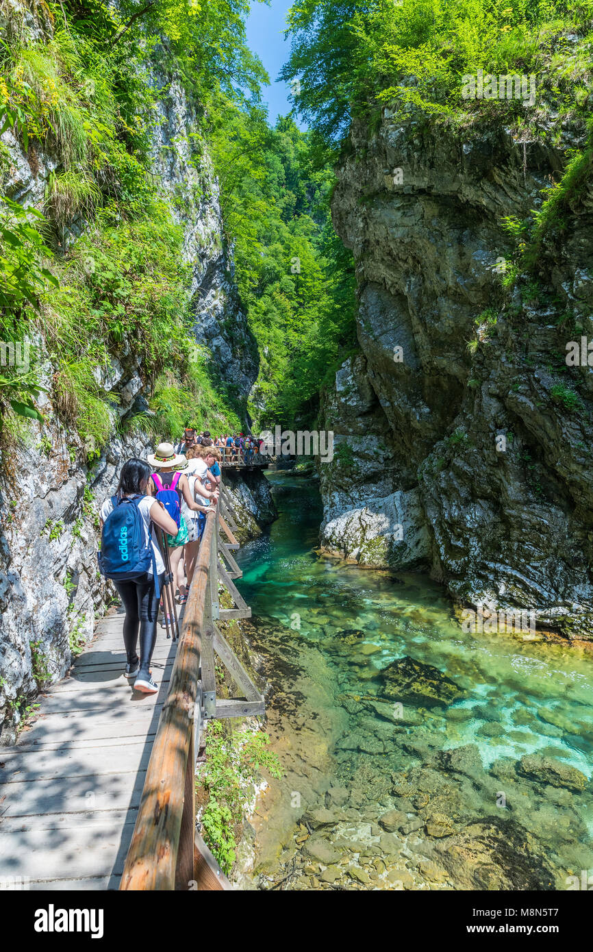 Tourists walking inside the Vintgar Gorge on a wooden path, Podhom, Upper Carniola, Slovenia, Europe Stock Photo