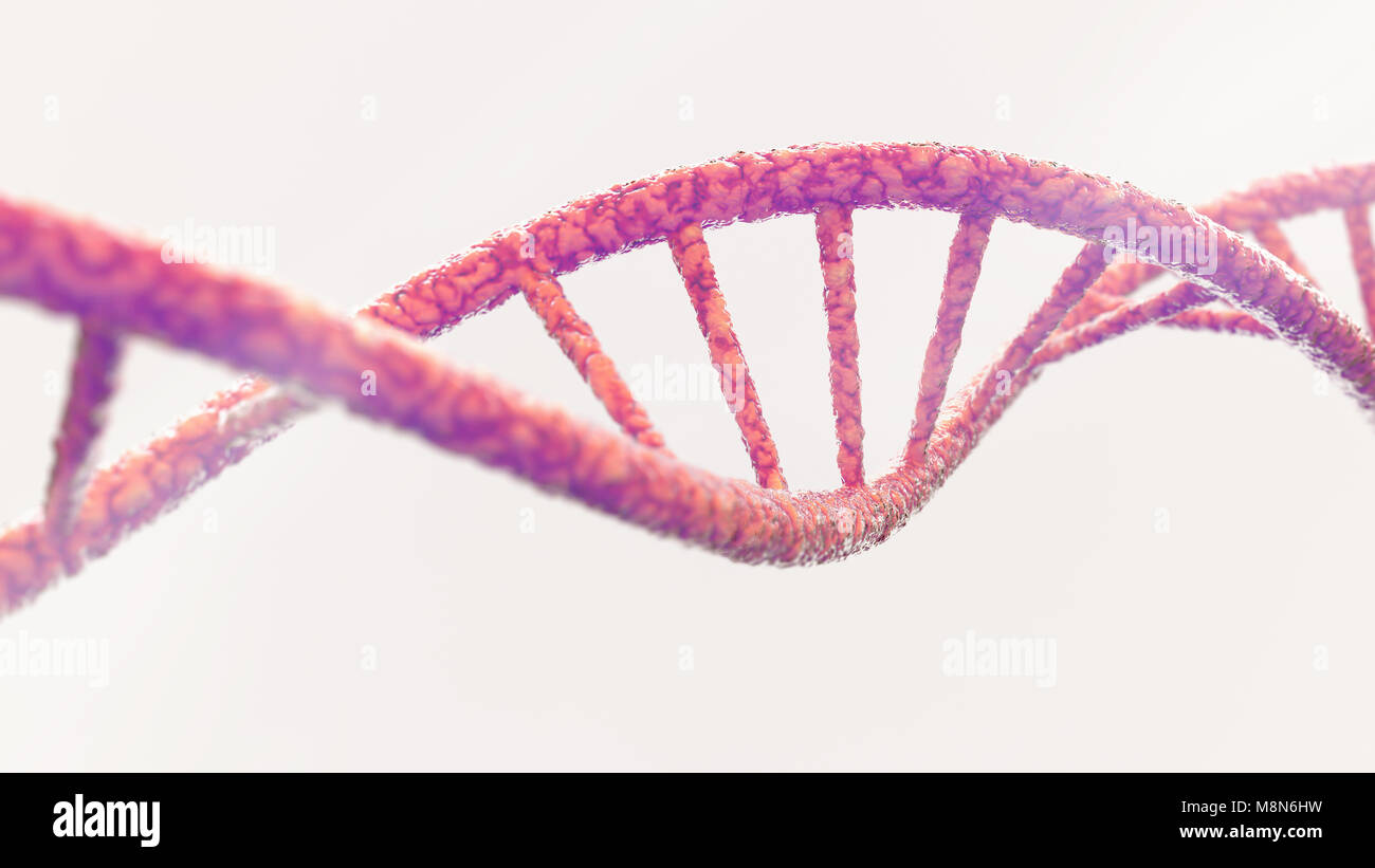 DNA helix on white background- 3D Rendering Stock Photo - Alamy