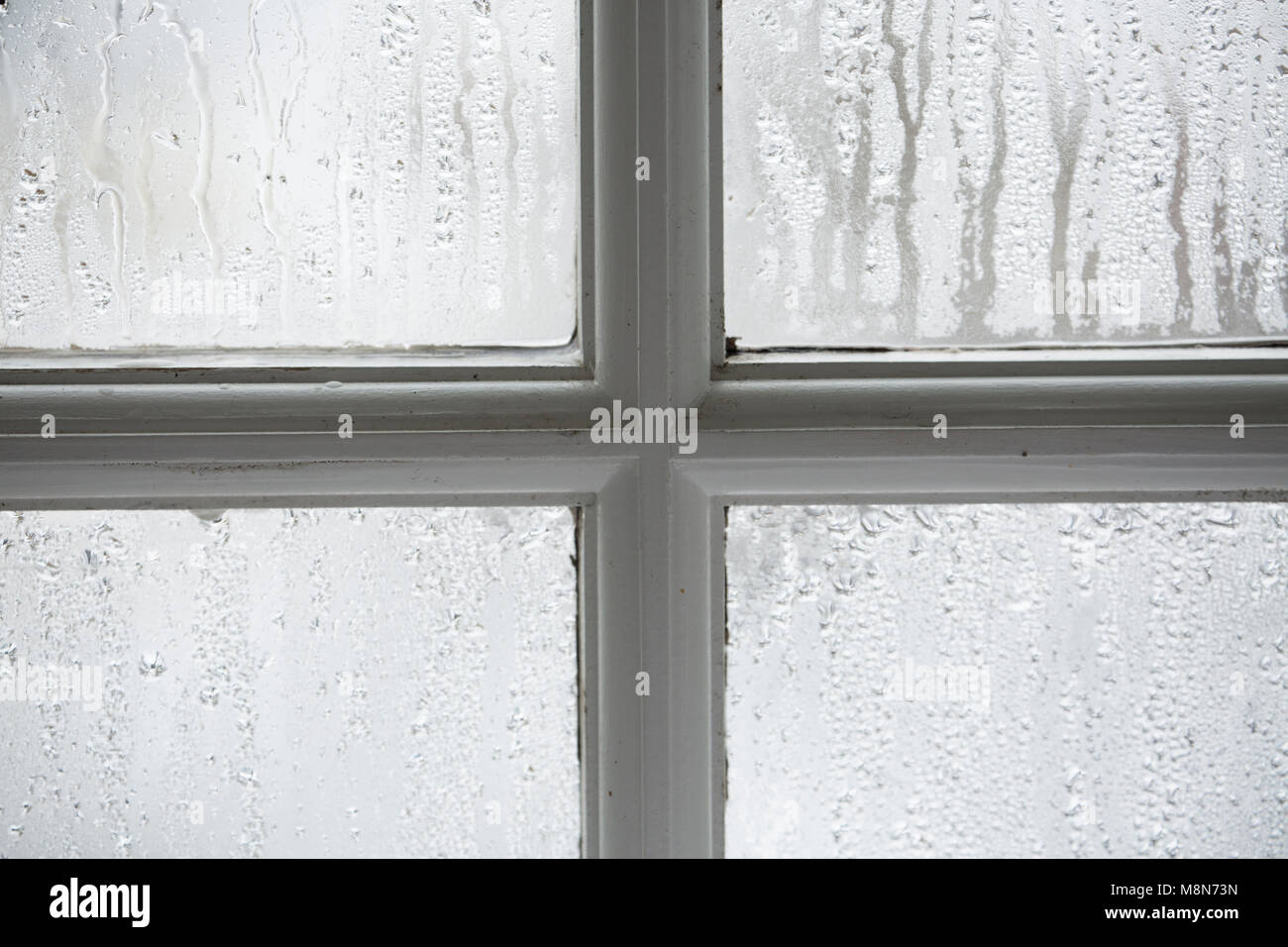 Condensation on single pane wooden sash windows during cold weather, Dorset UK Stock Photo
