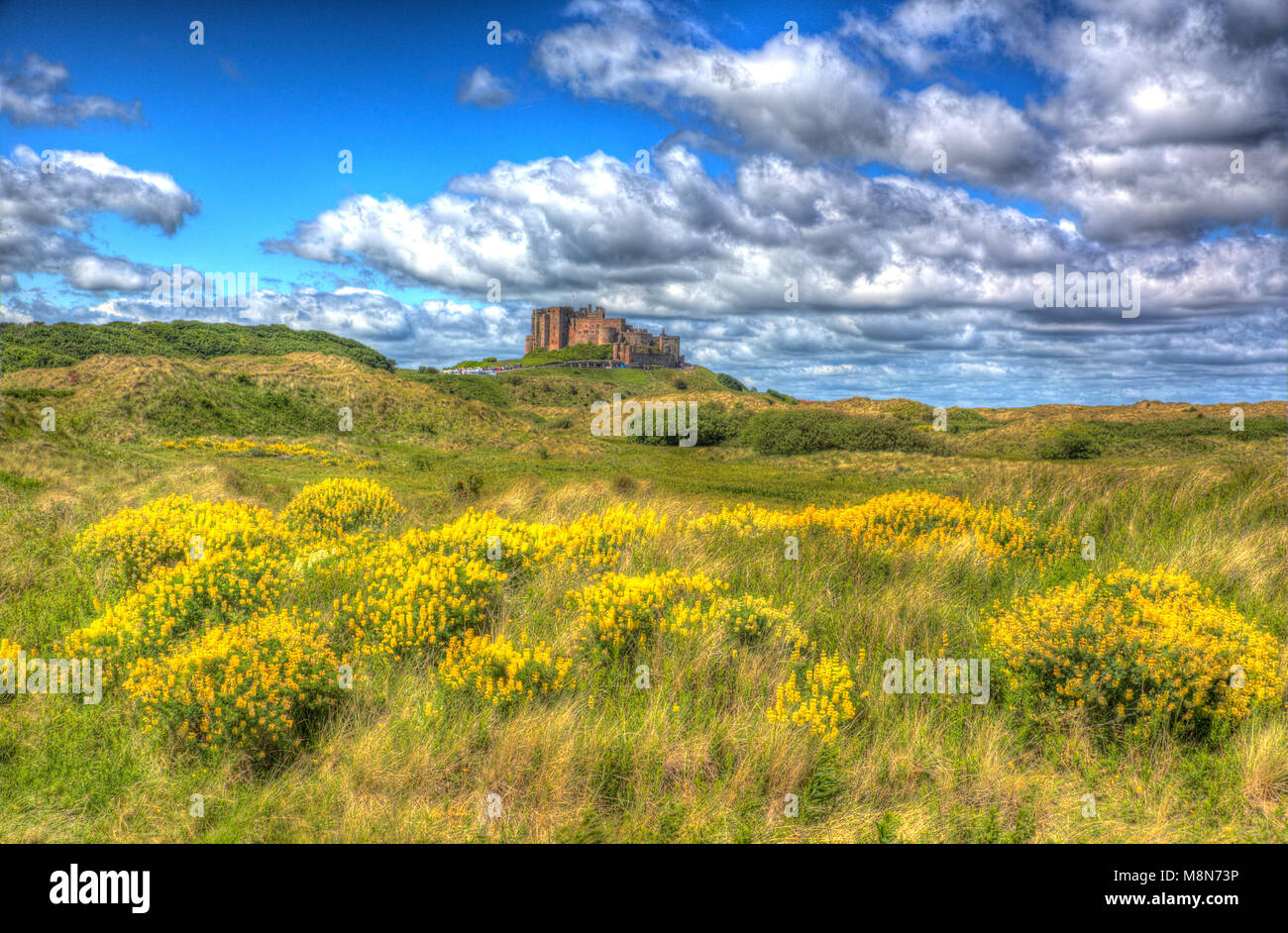 Bamburgh Castle Northumberland north east England medieval fort on hill in hdr Stock Photo