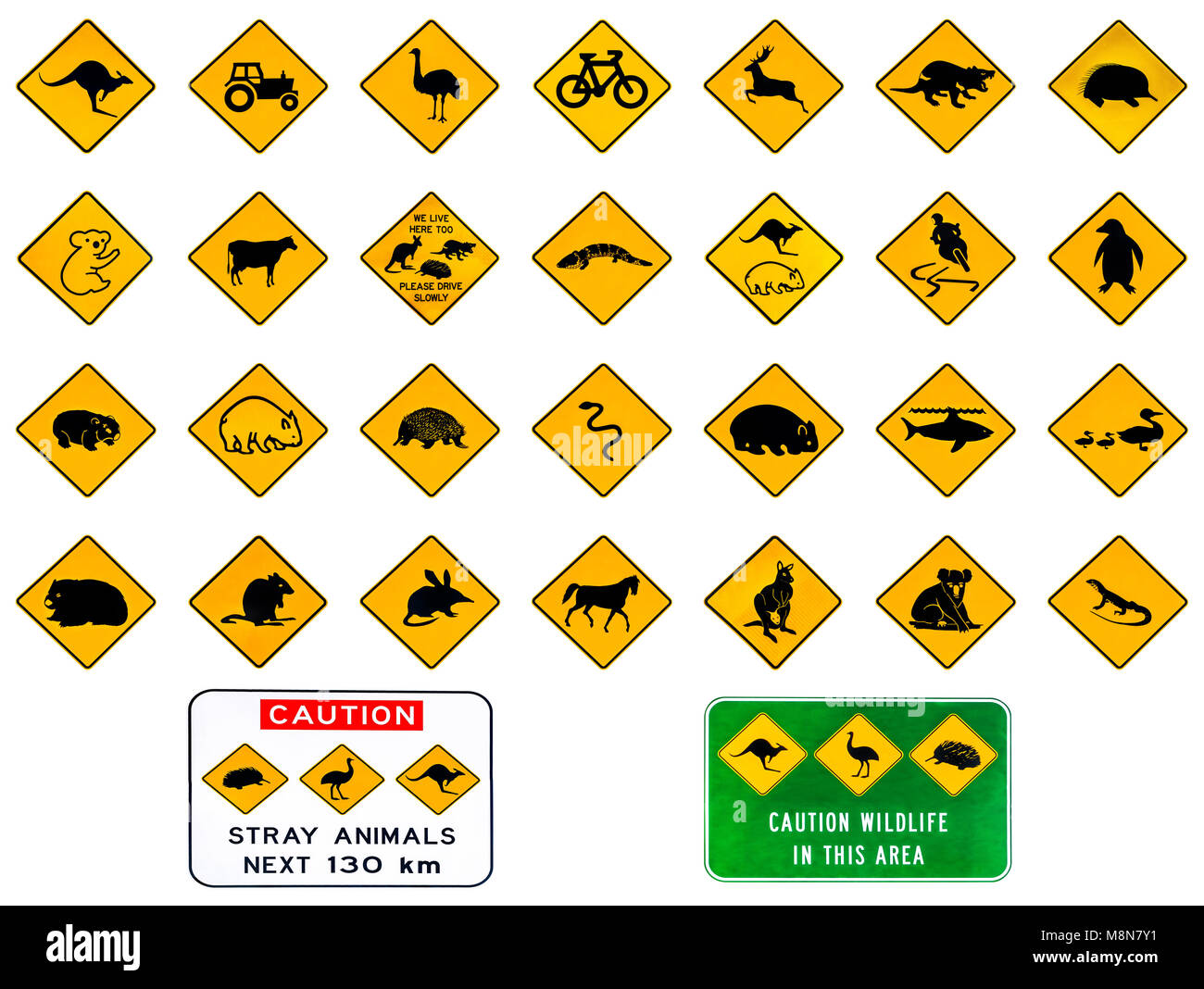 Australian warning road signs from Australia highways. Wildlife animals: Emu, Echidna, Tasmanian Devil, Wombat, Kangaroo, Penguin, Shark, Ducks Snake Rat Deer reptiles and vehicles. Isolated on white. Stock Photo