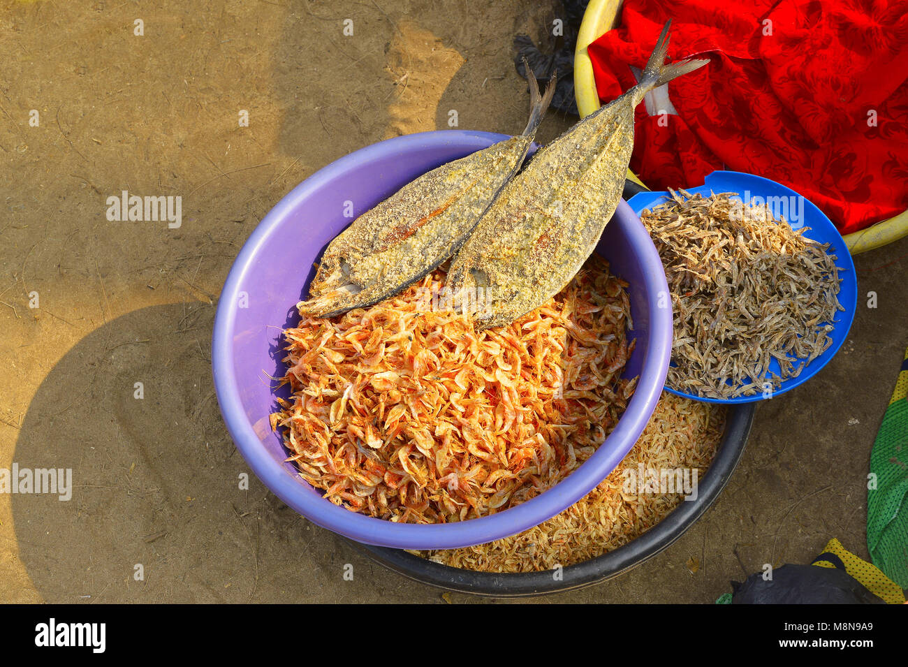 Dry shrimp and fish for sale at Nagaon beach, Maharashtra, India Stock